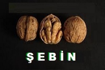 sebin7